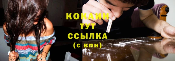 mdpv Туринск