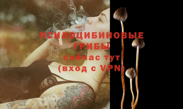гашиш Приозерск