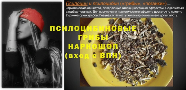 ГАЛЛЮЦИНОГЕННЫЕ ГРИБЫ Тында