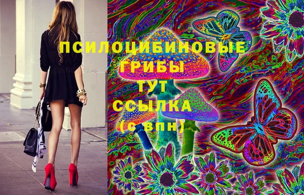 PSILOCYBIN Пролетарск