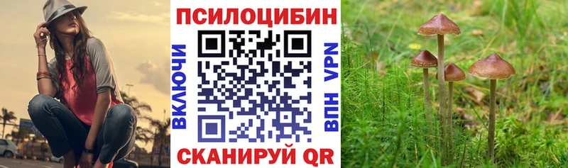 Галлюциногенные грибы Psilocybe  где можно купить   МЕГА вход  Великий Устюг 