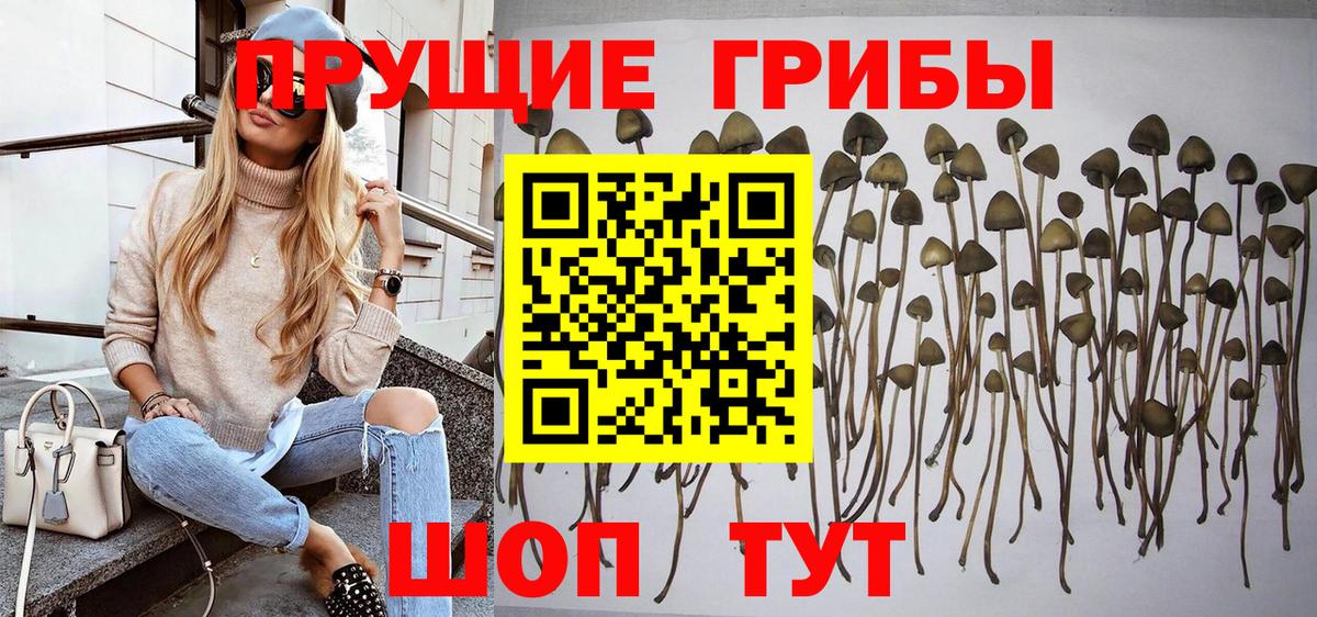 Галлюциногенные грибы GOLDEN TEACHER Великий Устюг