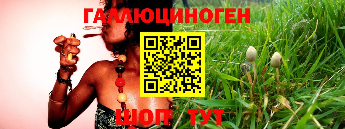 Галлюциногенные грибы мицелий  Псилоцибиновые грибы Psilocybe  купить наркоту  Вход с VPN  Великий Устюг 