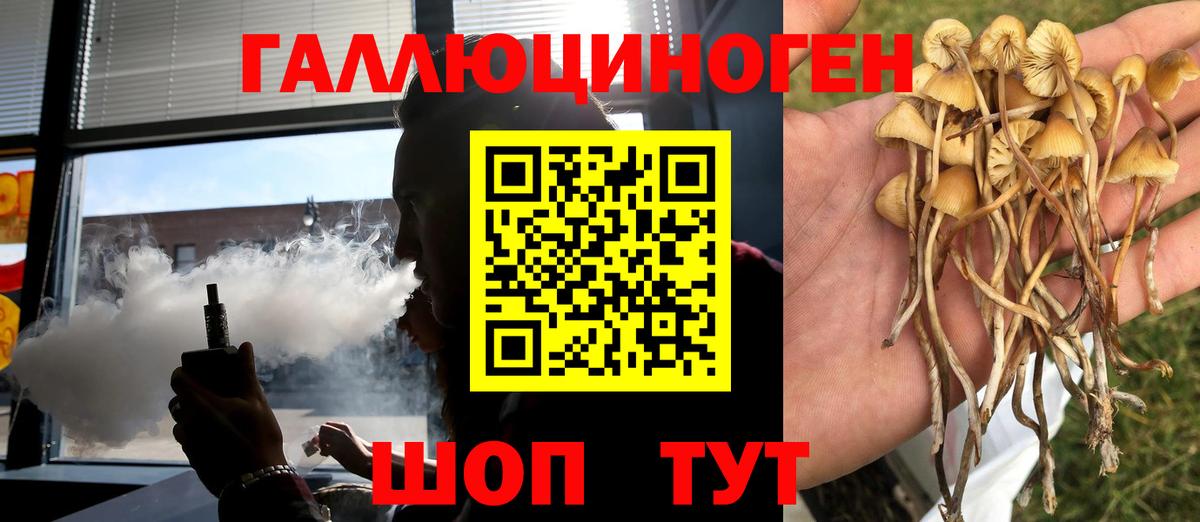 Псилоцибиновые грибы GOLDEN TEACHER  Великий Устюг  Галлюциногенные грибы Psilocybine cubensis 