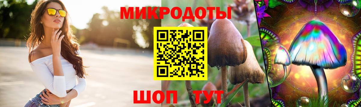 Галлюциногенные грибы Magic Shrooms Великий Устюг